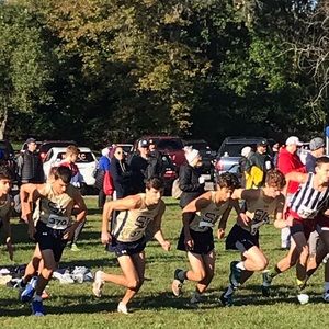 Meet your Posher, Liam